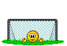 :goalkeeper: